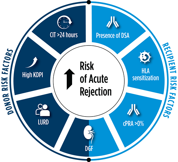 Chart of considerations of recipient and donor risk factors when evaluating the risk for acute kidney transplant rejection