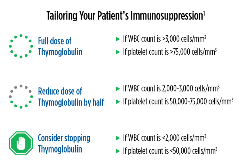 Recommended dose adjustments chart for Thymoglobulin as per the WBC and platelet count