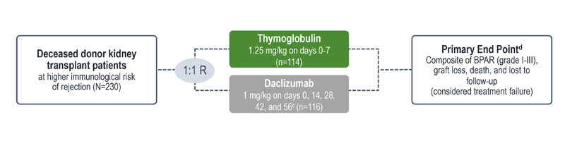 Graphic showing the study design for the trial comparing efficacy & safety of Thymoglobulin and Daclizumab in patients at high risk of rejection or delayed graft function