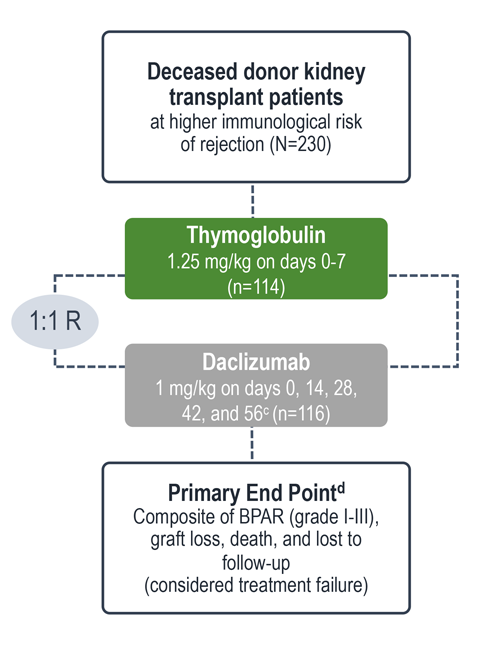 Graphic showing the study design for the trial comparing efficacy & safety of Thymoglobulin and Daclizumab in patients at high risk of rejection or delayed graft function