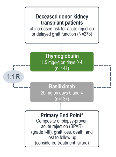 Trial design for comparing efficacy and safety of Thymoglobulin and Basiliximab chart